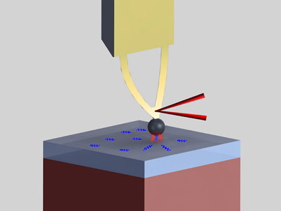 plancks law blackbody radiation diagram of the setup including a cantilever from an atomic force microscope